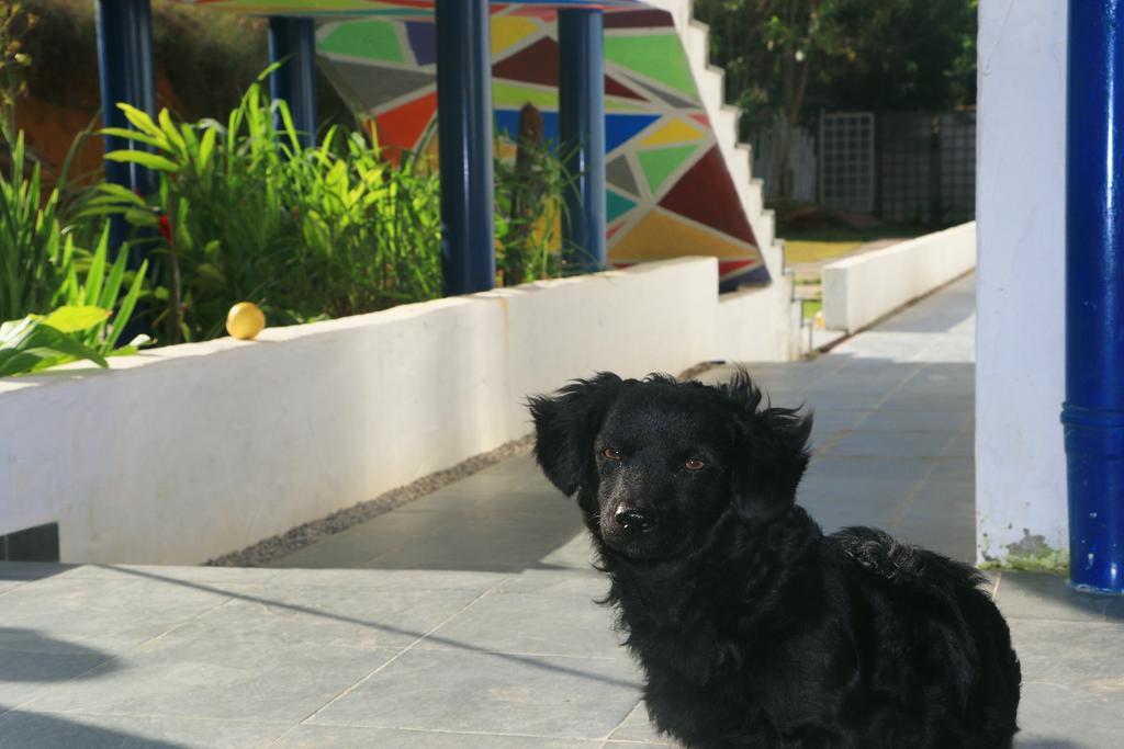 Cristama Residence Inn Ubatuba Buitenkant foto
